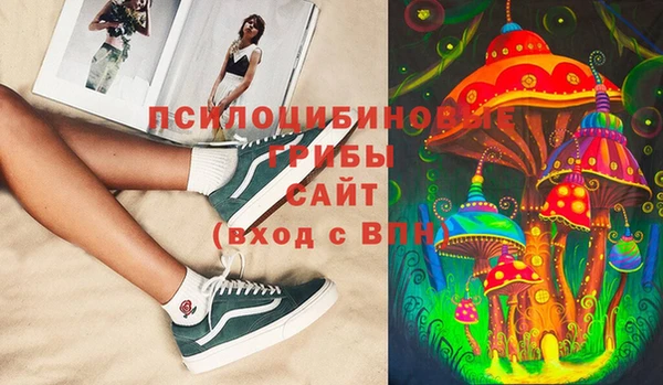 амф Аркадак