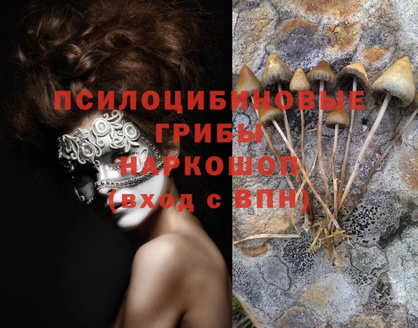 Альфа ПВП Арсеньев