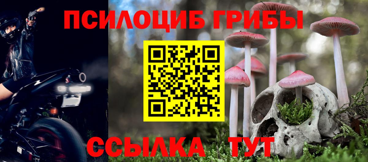 Самара  Галлюциногенные грибы Cubensis  Вход с VPN  продажа наркотиков  Псилоцибиновые грибы Psilocybine cubensis 