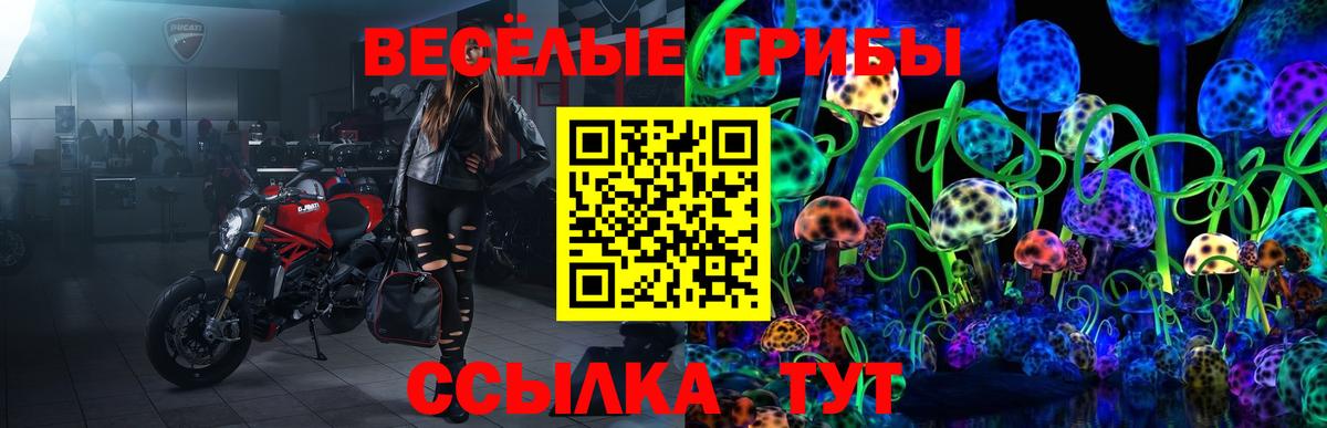Псилоцибиновые грибы GOLDEN TEACHER Самара