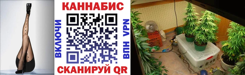 KRAKEN маркетплейс  Самара  Шишки марихуана тримм 